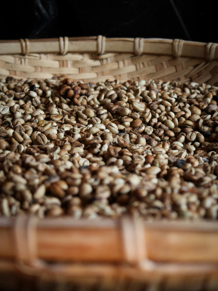 Exploring the World of Specialty Grade Coffee: A Beginner's Guide